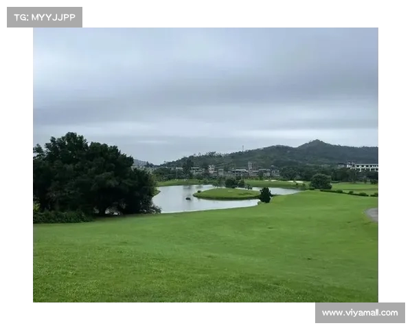 雨天高尔夫:如何在阴雨天气中保持最佳状态与技巧分享 雨天高尔夫:如何在阴雨天气中保持最佳状态与技巧分享